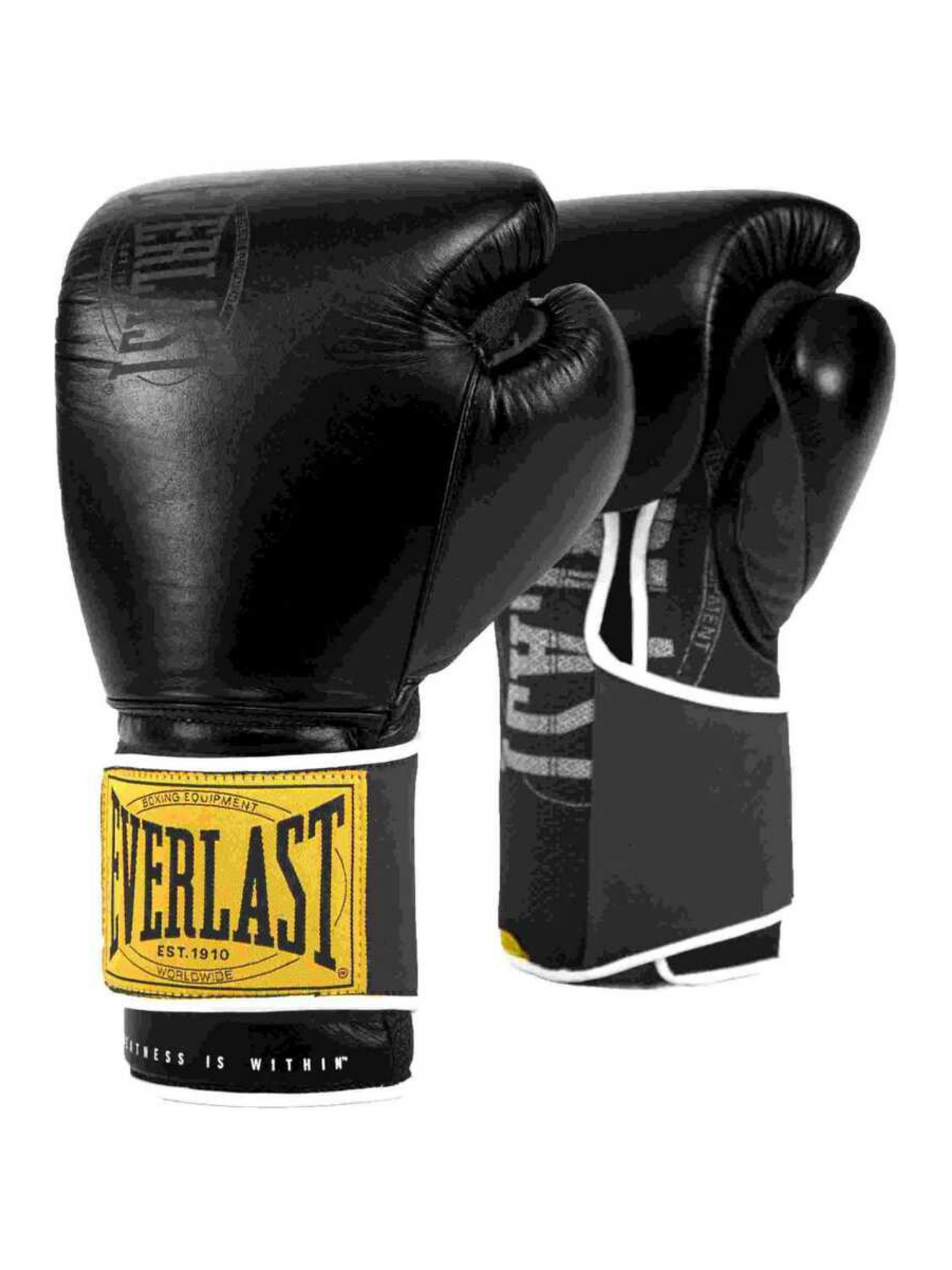 Everlast 1910 Classic 16oz Training Gloves Siyah Boks Eldiveni