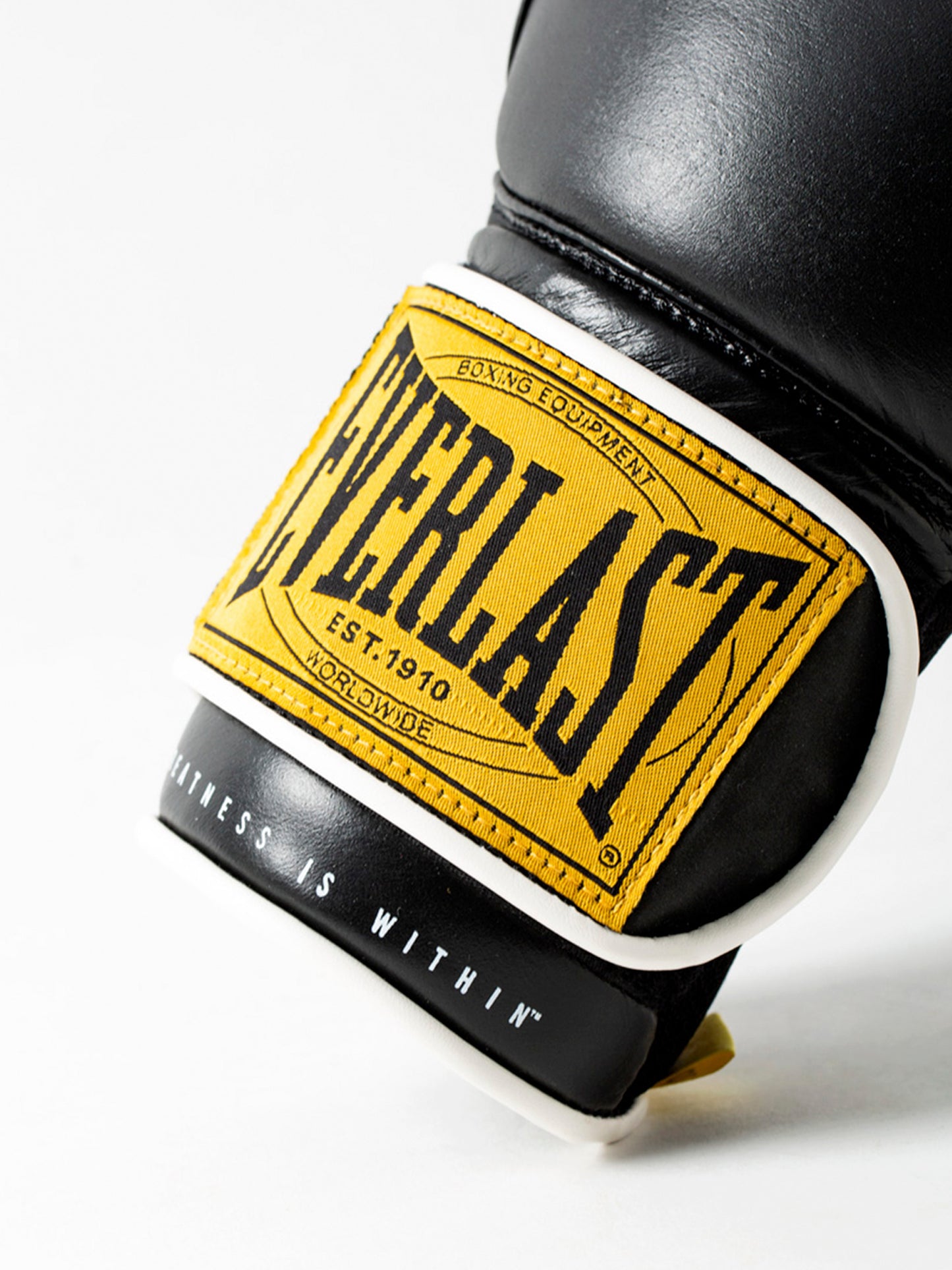 Everlast 1910 Classic 16oz Training Gloves Siyah Boks Eldiveni