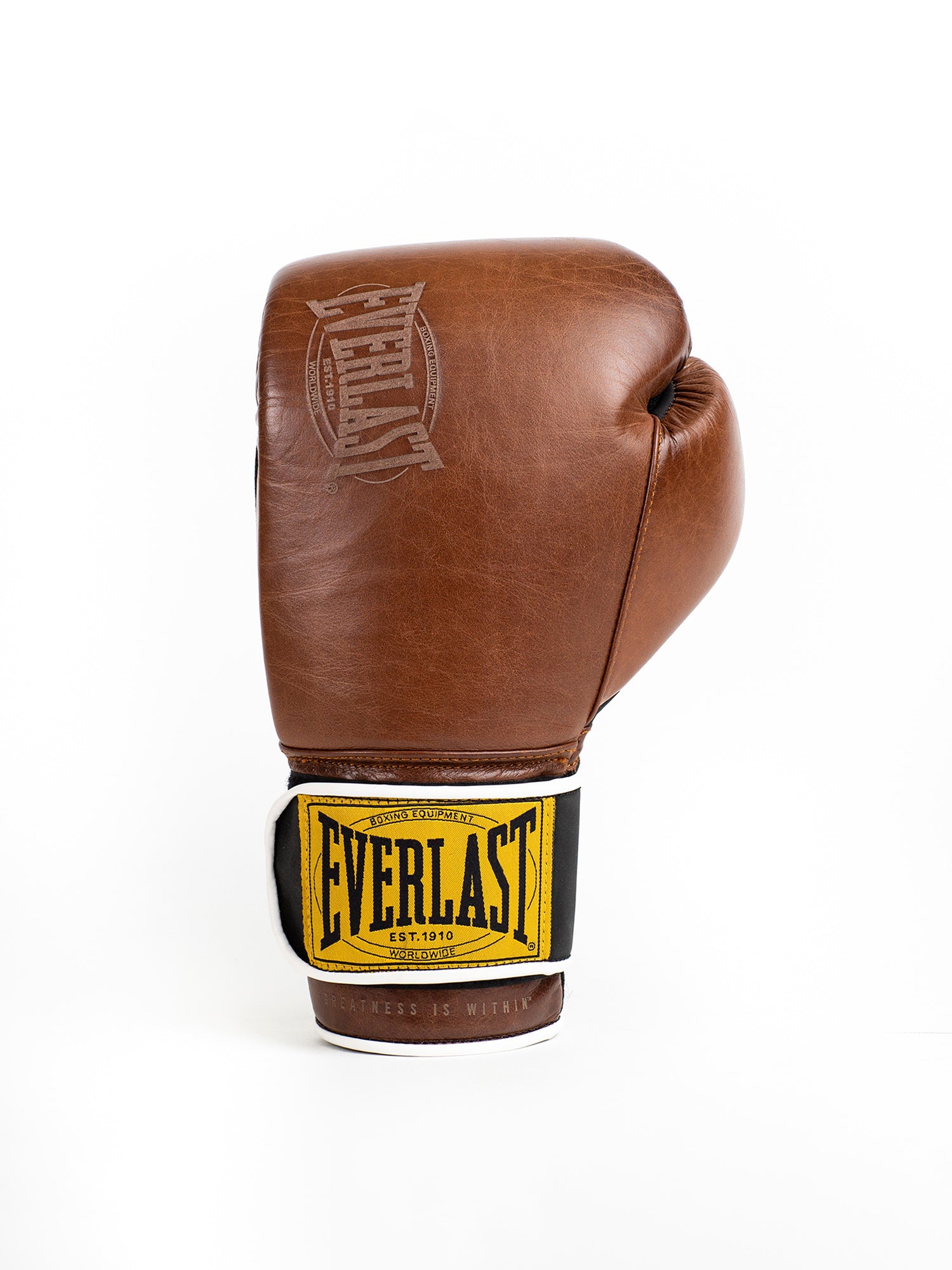 Everlast 1910 Classic 16oz Training Gloves Kahverengi Boks Eldiveni
