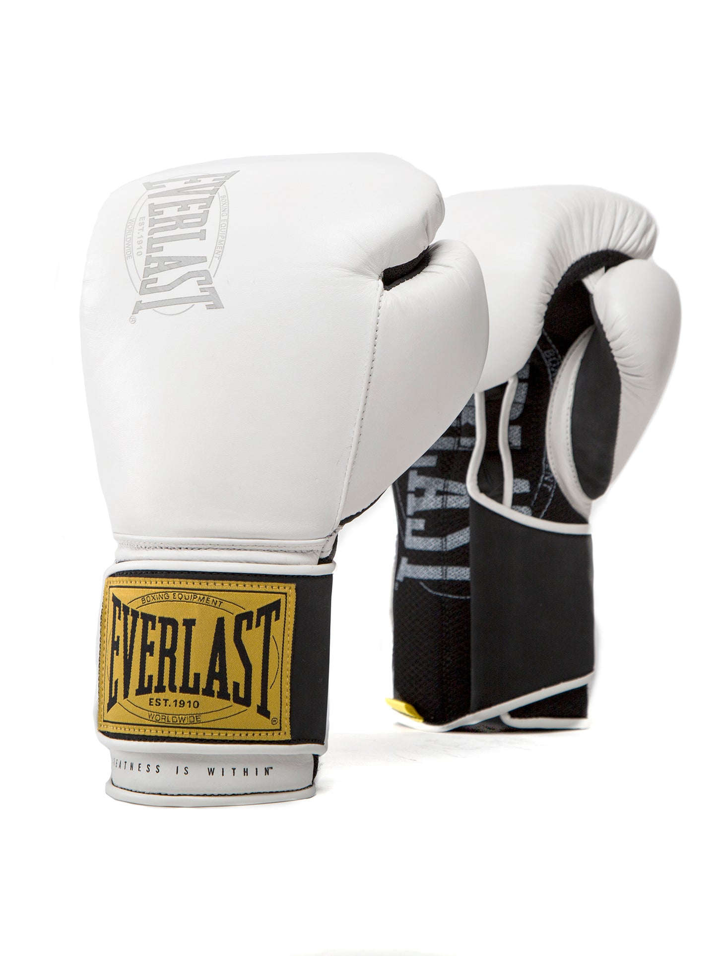 Everlast 1910 14oz Classic Training Gloves Beyaz Boks Eldiveni