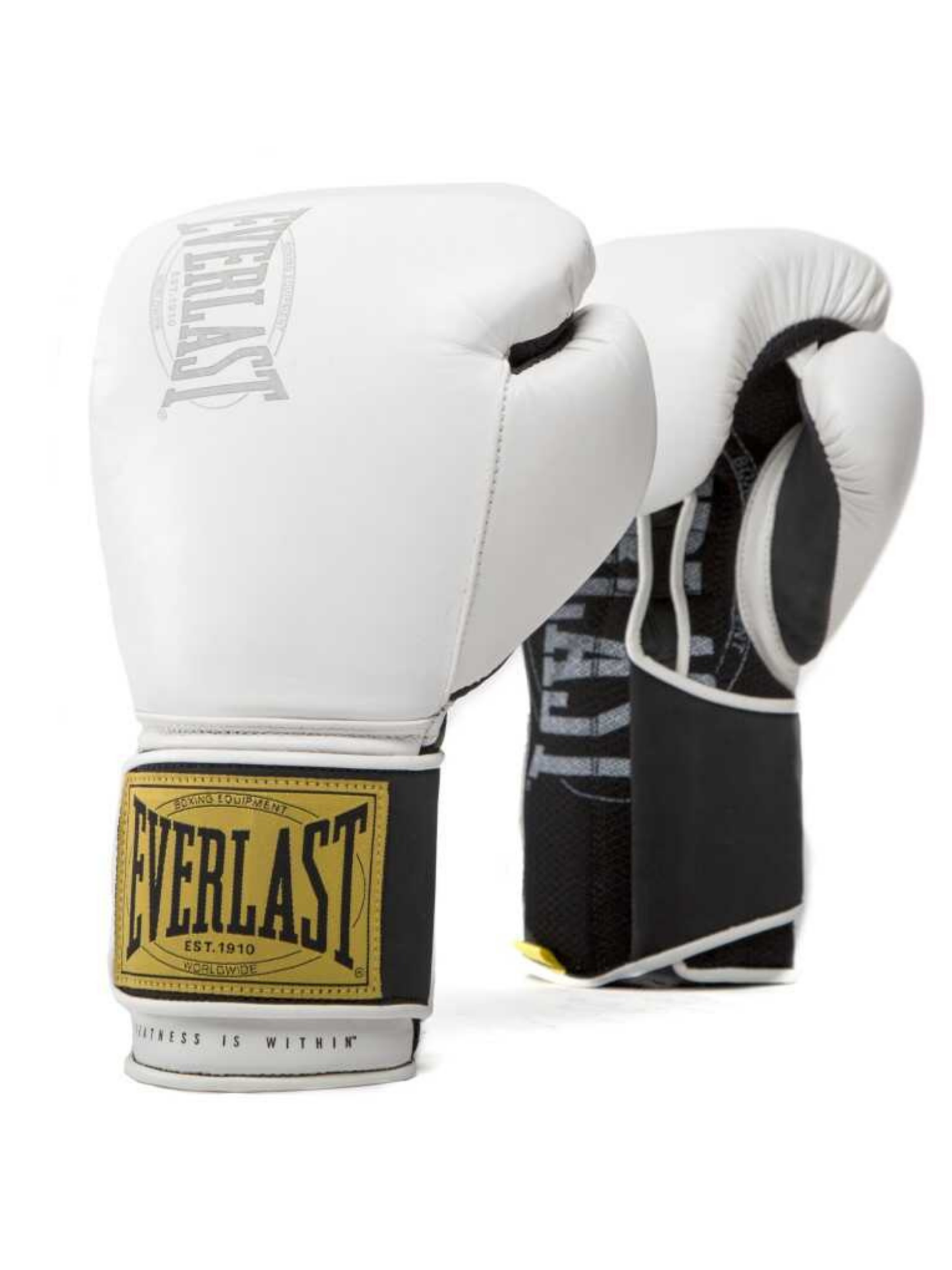 Everlast 1910 16oz Classic Training Gloves Beyaz Boks Eldiveni