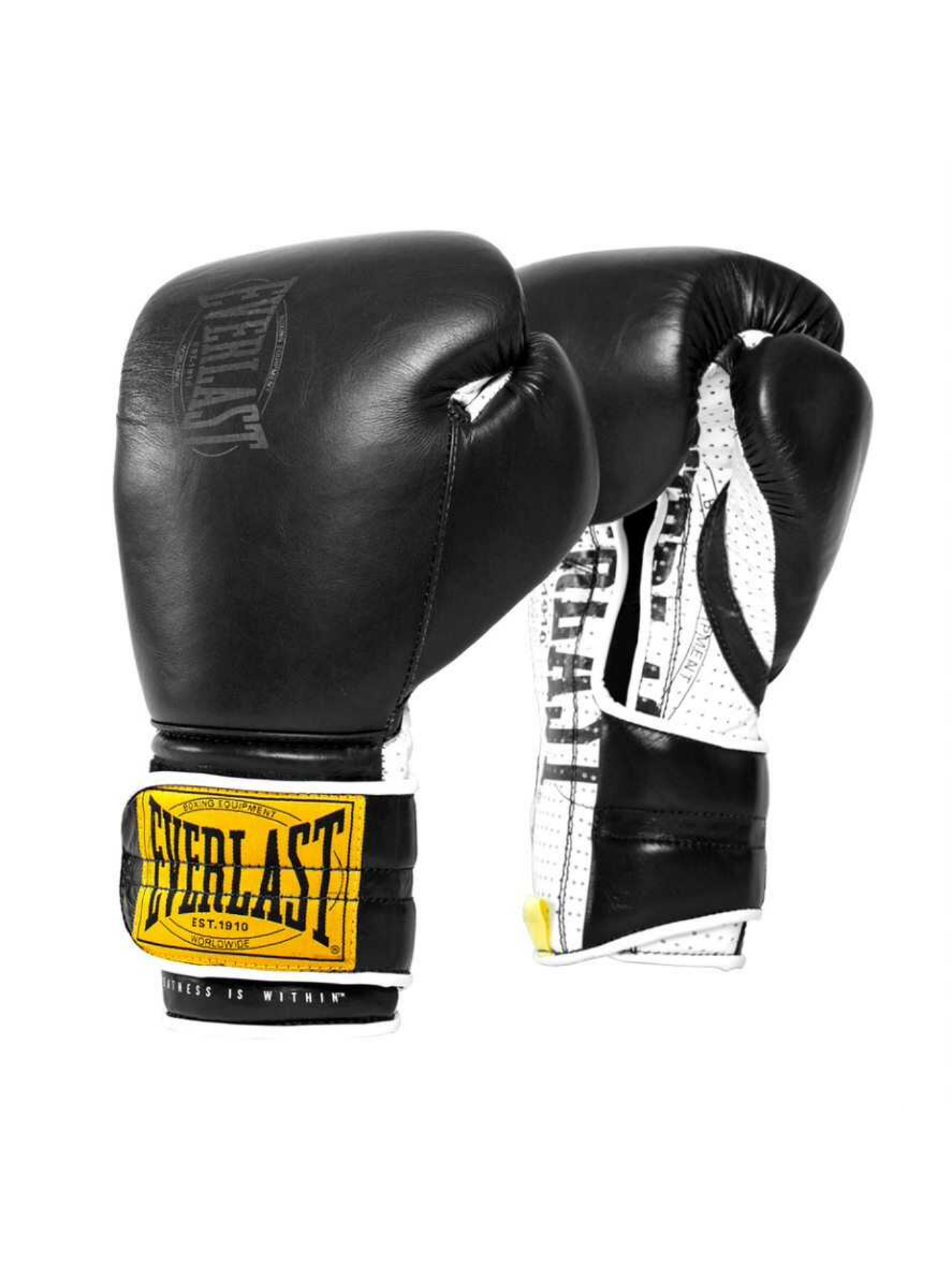 Everlast 1910 H&L Sparring Gloves Siyah Boks Eldiveni