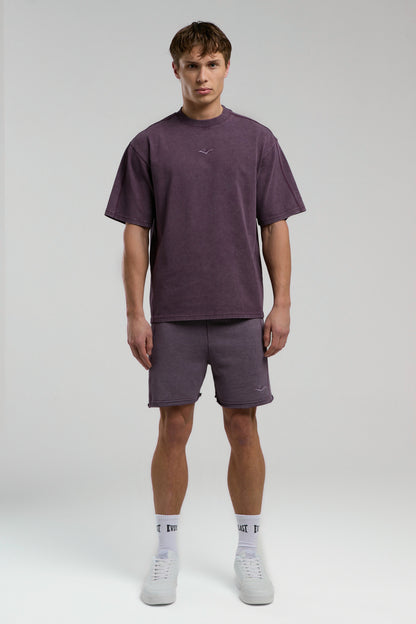 Everlast Bronx 1910 Oversize Yıkamalı Mor Erkek Tişört