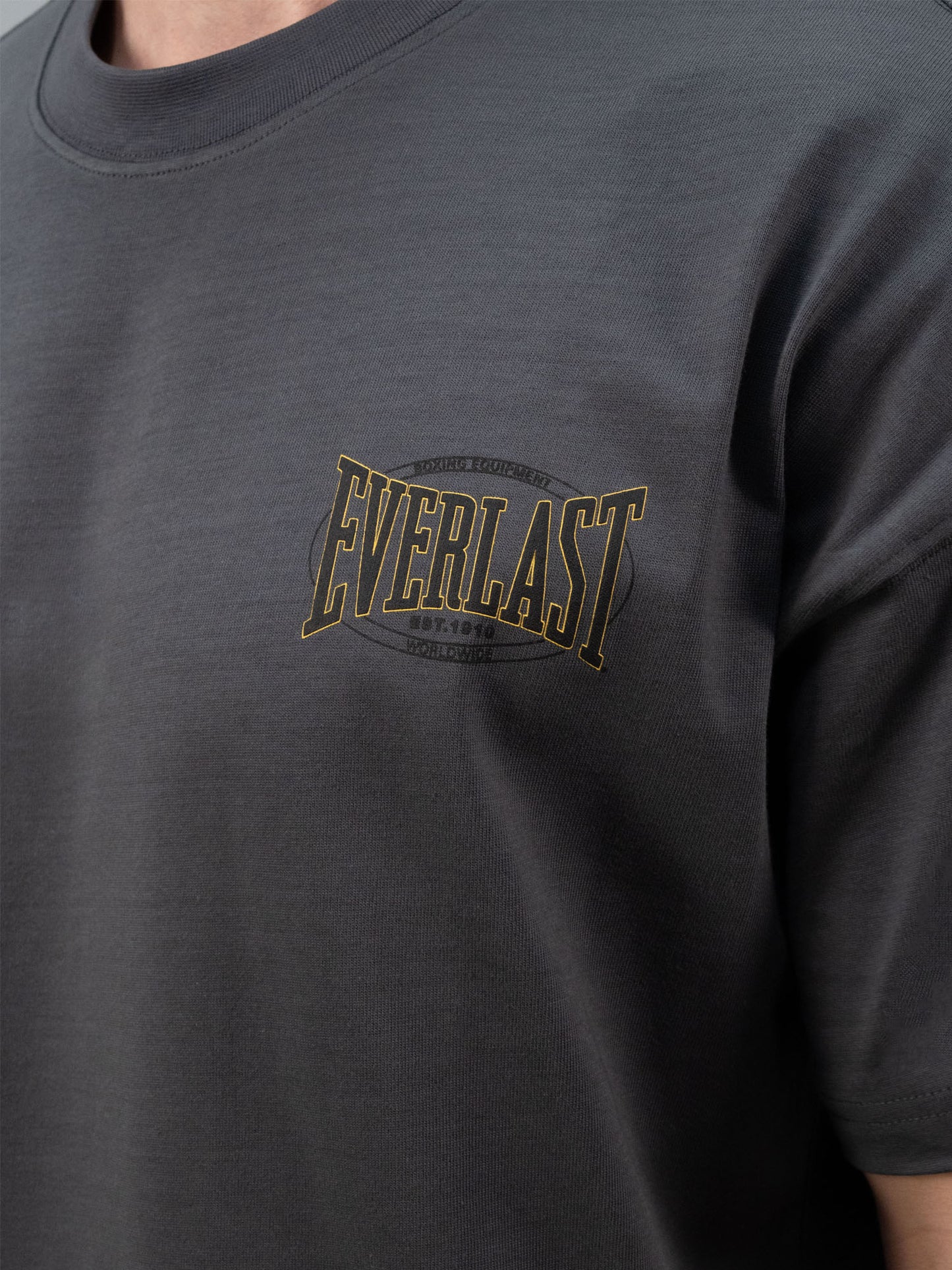 Everlast Authentic Boxing 2.0 Oversize Füme Erkek Tişört