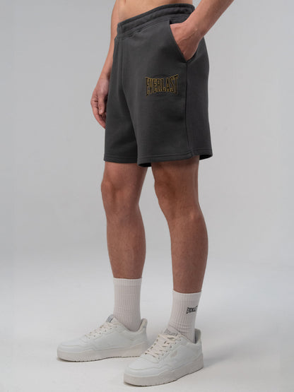 Everlast Authentic Boxing 2.0 Oversize Füme Erkek Şort