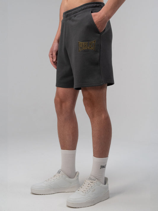 Everlast Authentic Boxing 2.0 Oversize Füme Erkek Şort