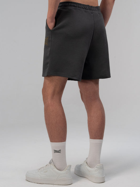 Everlast Authentic Boxing 2.0 Oversize Füme Erkek Şort