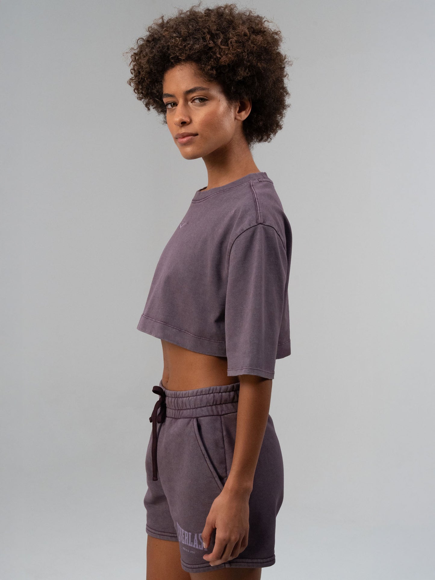 Everlast Bronx 1910 Oversize Mor Crop Kadın Tişört