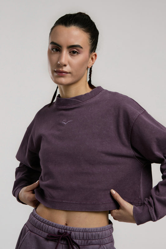 Everlast Bronx 1910 Oversize Mor Crop Uzun Kollu Kadın Tişört