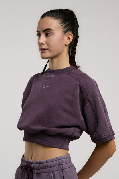 Everlast Bronx 1910 Oversize Mor Crop Kadın Kısa Kollu Sweatshirt